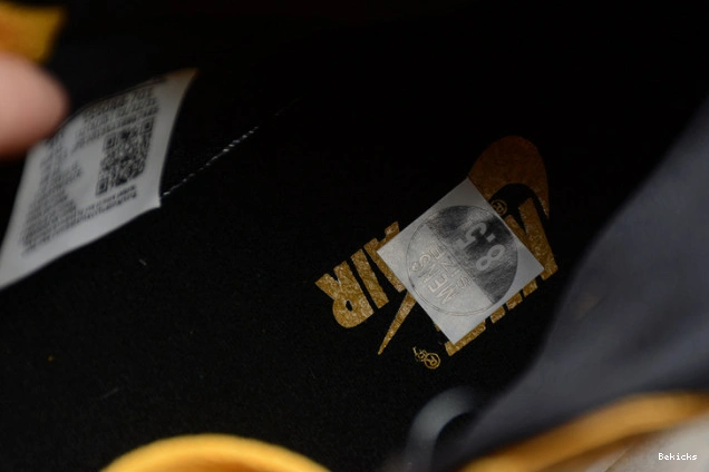 Rep BK air “pollen